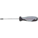 Kraftwerk Tools 305.103.025 BASIC LINE Tournevis TX T25 x 100mm