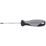 Kraftwerk Tools 305.103.009 BASIC LINE Tournevis TX T9 x 75mm